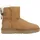 chestnut 40