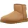 Chestnut 39