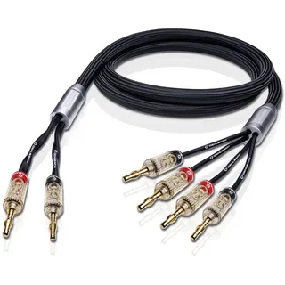 Oehlbach XXL Fusion Four B 300 - High-End Bi-Wiring Lautsprecherkabel Set mit Banana-Verbinder - Made in Germany - 2 x 3m - schwarz