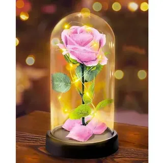 Rose Glas Glaskuppel Lichter Geschenk B-rosa 1 Klassische Rose