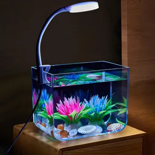 Mini Aquarium Klein Aquarien, WüRfel Aquarium Komplett Set Mit Klemmlicht, 12.5x10.5x7.5 cm, Fisch Tank Garnelen Aquarium Starterset, Becken Für Fische Und Wasserpflanzen, S