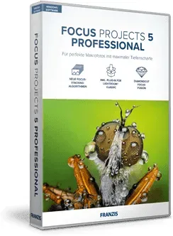 FOCUS projects 5 professional