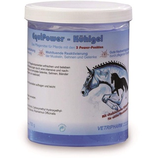 Vetripharm EquiPower Kühlgel
