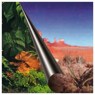 Europet Bernina EBI 241-109090 Dschungel Wandbild, 80 x 40 cm