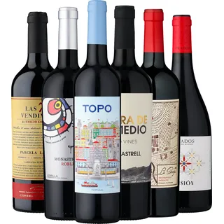 6er-Probierpaket »Tapas Total«