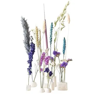 BloomPost Bloom & Clay Blue