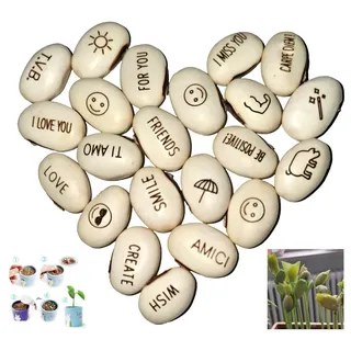 J&J Packung mit 20 Samen magische Bohnen Magic Bean Magic Beans Geschenkidee Wiederholungsereignis Neugier Idee Zuhause Geschenk Bingo Weihnachtsfeier in der Liebe besondere Nachricht...