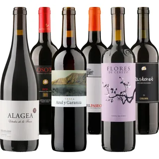 Viva España 6 Rotweine aus den schönsten Weinregionen Spaniens, Bio Probierpakete