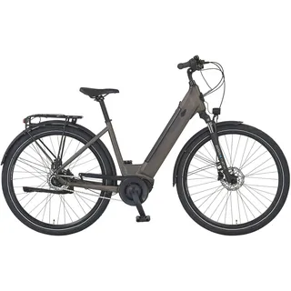 Prophete Geniesser 3.3 28 Zoll RH 48 cm Matt Bronze
