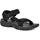 Black 43
