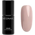 UV Nagellack 7,2 ml - Modern Princess