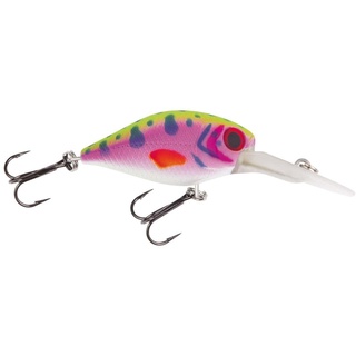 Jackson Forellenwobbler 4.0 Rainbow Trout Wobbler Forellenangeln