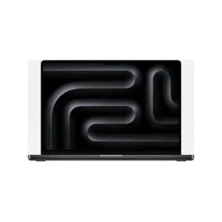 2024 M4 Max 48 GB RAM 1 TB SSD 40-Core GPU Space Schwarz
