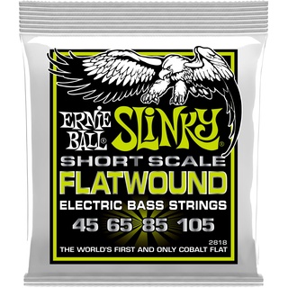Ernie Ball Regular Slinky Short Scale Flatwound E-Bass-Saiten, Stärke 45-105