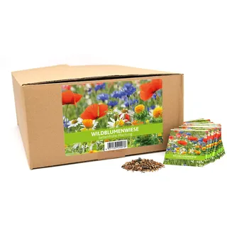 FLORTUS Wildblumenwiese für Gastgeschenke (500 Stück) | Wildblumensamen für Bienen & Insekten als Dankeschön Geschenke & Werbegeschenke
