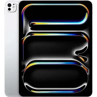 256 GB Wi-Fi + Cellular silber