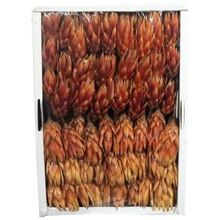 Flowerbox Trockenblumen - orange