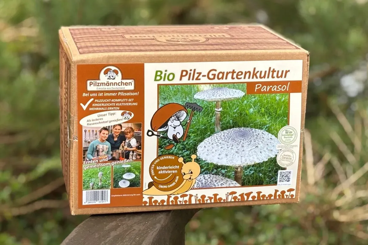 Parasol-Gartenkultur BIO