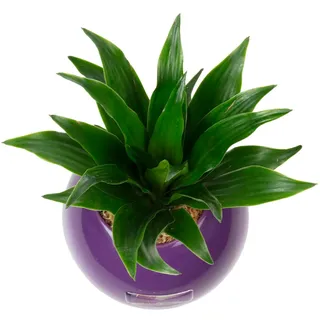 Flowerbox Ball - violett - 12x12 cm