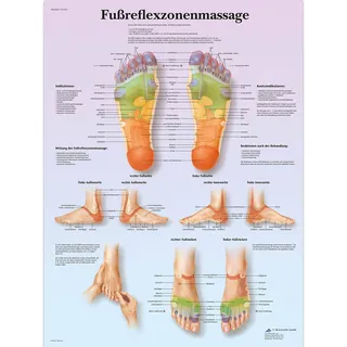 3B Scientific Lehrtafel laminiert - Fußreflexzonenmassage, 50 x 67 cm