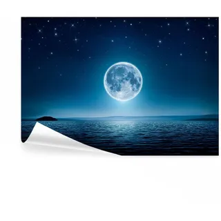 decomonkey Fototapete Vollmond 350x256 cm XL Tapete Fototapeten Vlies Tapeten Vliestapete Wandtapete moderne Wandbild Wand Schlafzimmer Wohnzimmer Landschaft Nacht