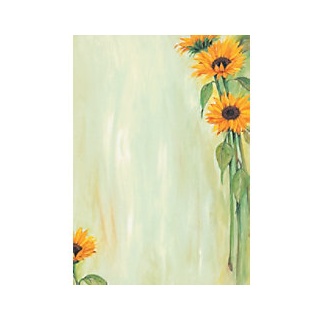 Sigel Motivpapier DP694 DIN A4 90 g/m2 Mehrfarbig 25 Blatt