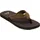 Brown 40