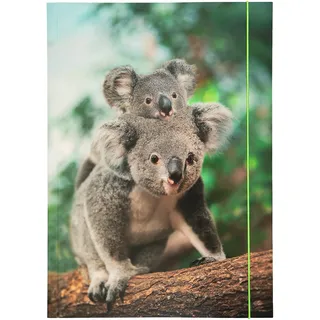 Folia 69003 - Sammelmappe A3 Basic Jungle Cuties, aus stabilem Karton mit Gummiband
