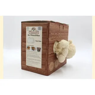 Pom Pom Pilzzuchtbox Bio