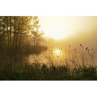 Papermoon Fototapete Stunning Foggy Landscape bunt Fototapeten Tapeten Bauen Renovieren