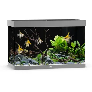 JUWEL AQUARIUM Rio 290 LED Grau