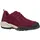 Raspberry 36,5
