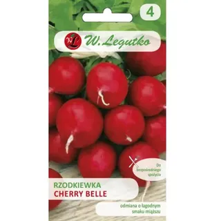 Radieschen Cherry Belle – rund, rot