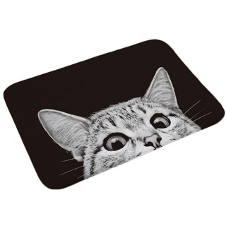 Nunbee Fußmatte Schwarze und weiße Katze Designe Anti Rutsch Unterlage Wasseraufnahme Teppich Praktische Schmutzfangmatte Haustür Flur Innenbereich Aussen Lustig, Katze 9 40 * 60cm