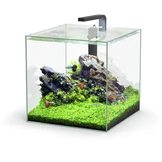 Aquatlantis Kubus LED 54l