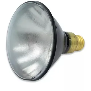 SYLVANIA PAR38 UV-Quecksilberdampflampe "H44 GS100 MDSK" E26 100W 8°