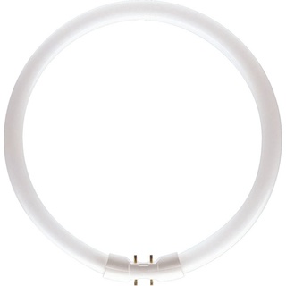 Philips Master TL5 Circular 55W/840 2GX13