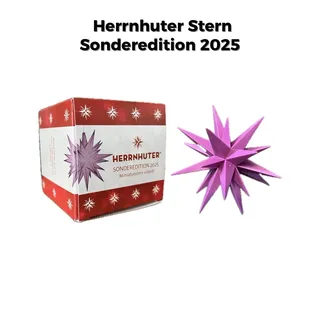 Herrnhutter Stern 2025 Miniatur Violett – Handgefertigte Sonderedition | Neu