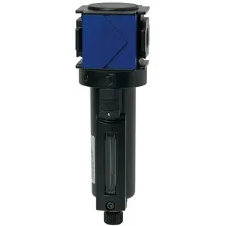 Riegler Mikrofilter »variobloc«, Metallbehälter, Sichtrohr, BG 2, G 1/2"