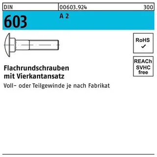 Industrial Quality Supplies DIN 603 Flachrundschraube M6x65 Edelstahl A2 blank m. Vierkantansatz
