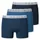 Shorts 3er Pack Serie 95/5 Unterhose Organic Cotton