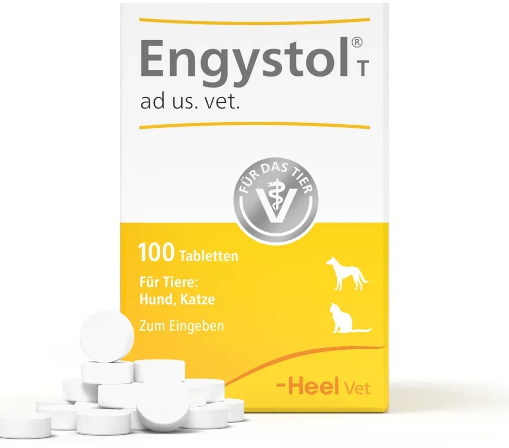 ENGYSTOL T ad us.vet.Tabletten 100 St