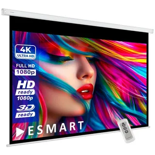 eSmart Economy EXM Motor Leinwand / 240 x 135 cm (108") / Format 16:9
