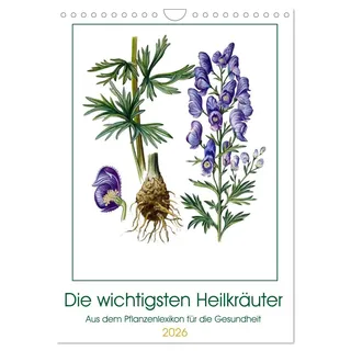 Calvendo Die wichtigsten Heilkräuter (Wandkalender 2026 DIN A4 hoch), CALVENDO Monatskalender: Die bekanntesten Heilpflanzen einzigartig gezeichnet (CALVENDO Gesundheit)
