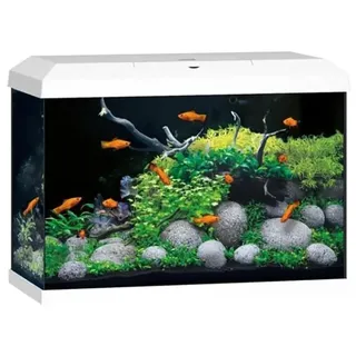 Juwel Aquarium-Set Primo 70 LED 2.0 Weiß