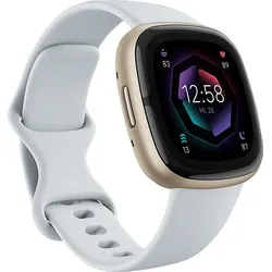 FITBIT Sense 2 Smartwatch Aluminium Elastomer, S/L, Blue Mist/Soft Gold