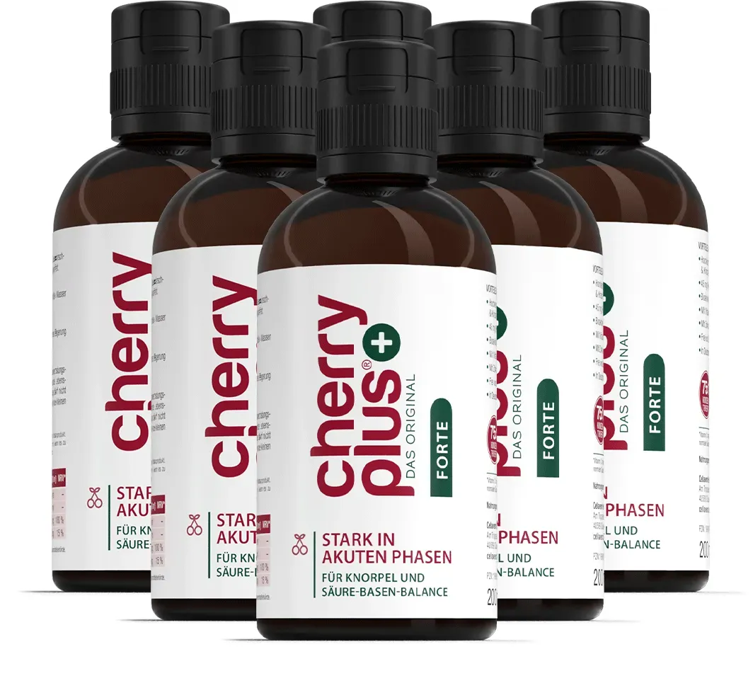 Cherry PLUS Forte Konzentrat - Hochkonzentriertes Sauerkirschkonzentrat mit Vitamin C und Zink 1200 ml