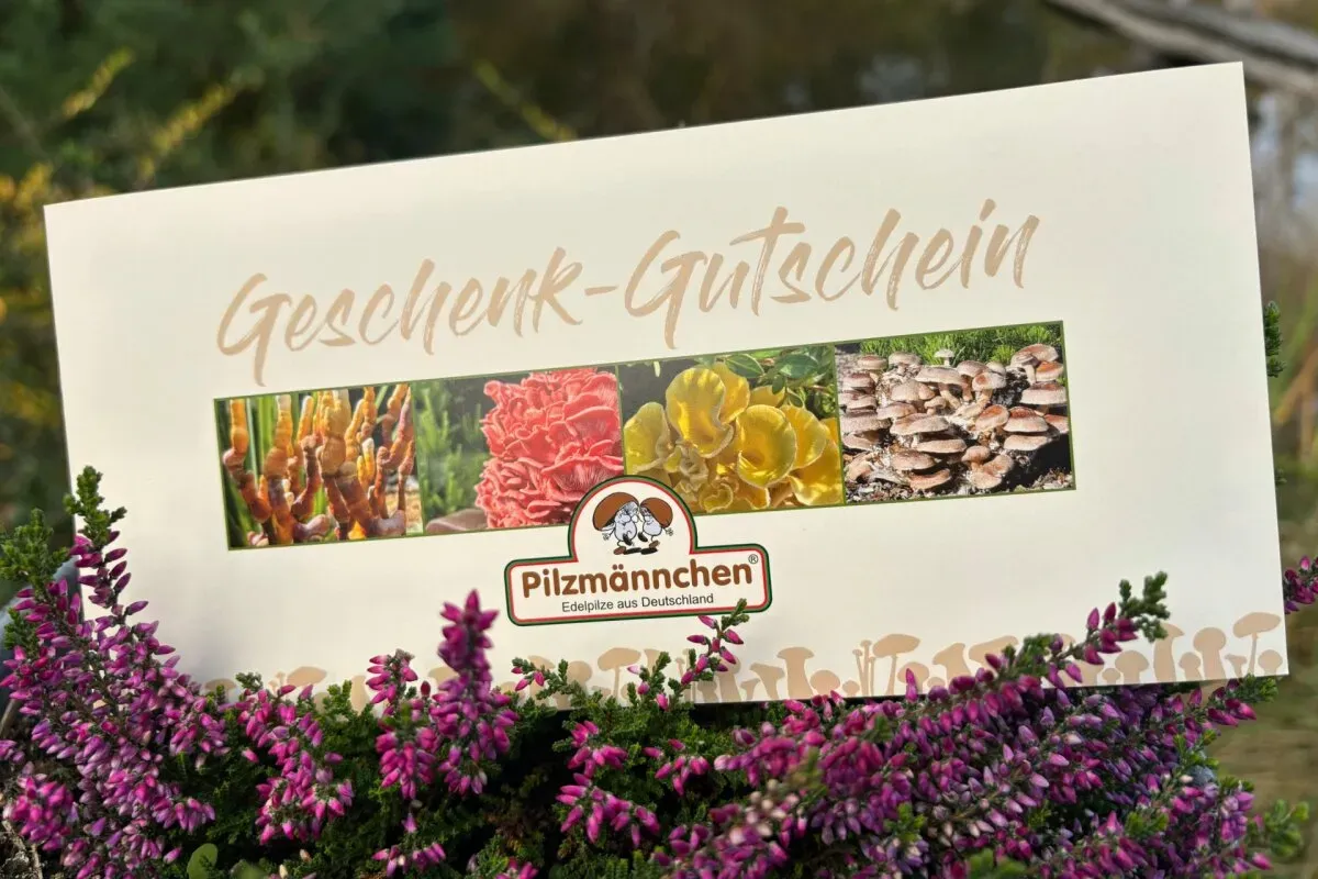 Geschenk-Gutschein C - 75 Euro