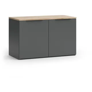 Vicco Kommode Wido Anthrazit 80 x 50 cm mit 2 Türen