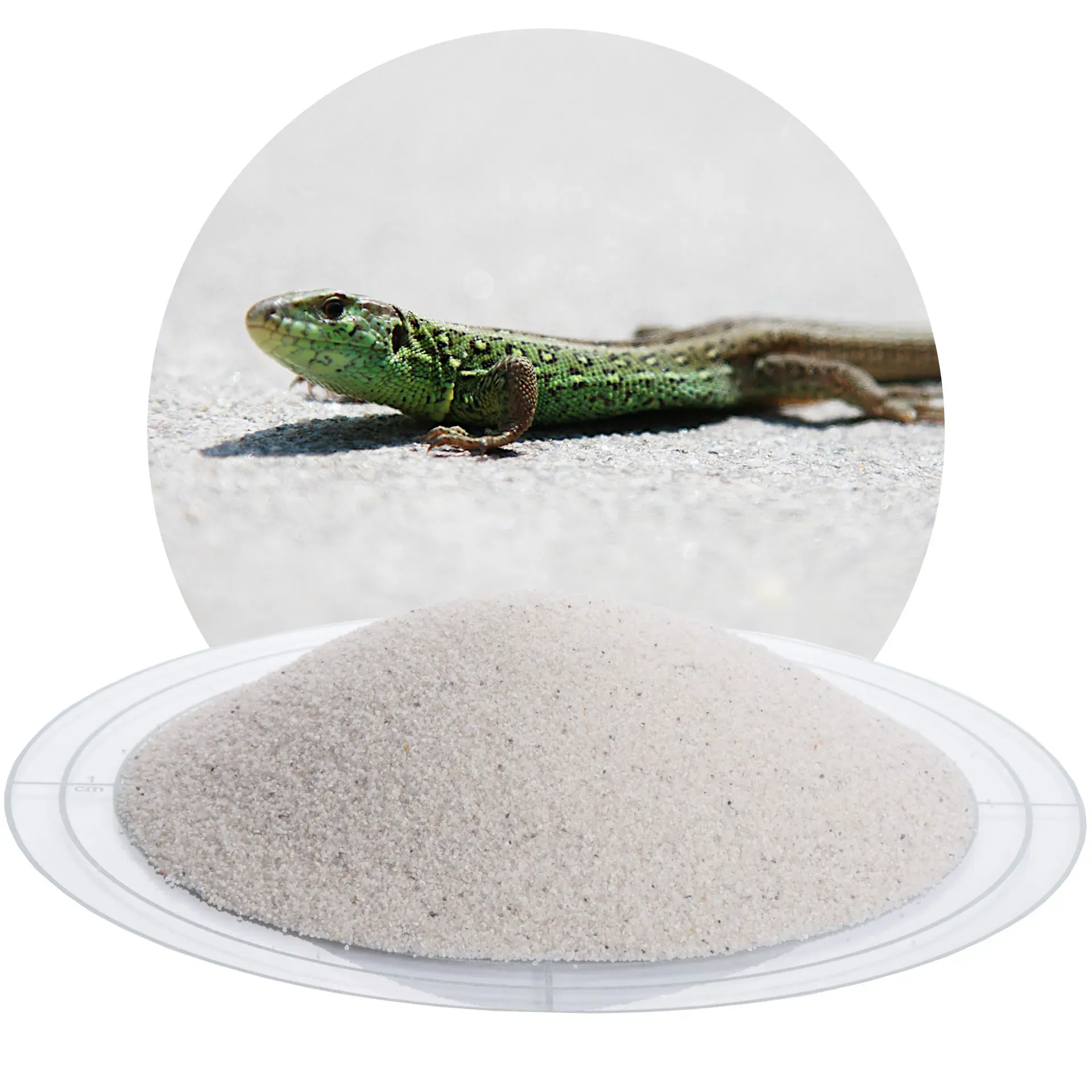 Terrariensand weiß 0,4-0,8 mm - 25 kg Sack